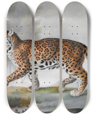 Triptych art skateboard deck of Pierrefranois De Wailly Grande Panthere by Pierre-Franois De Wailly (1775-1852)