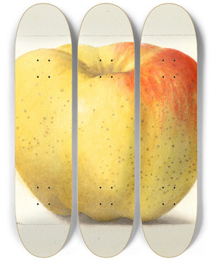 Triptych art skateboard deck of Deborah Griscom Passmore Malus Domestica Reinette Gris by Deborah Griscom Passmore (1840-1911)