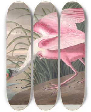 Triptych art skateboard deck of John James Audubon Roseate Spoonbill by John James Audubon (1785-1851)