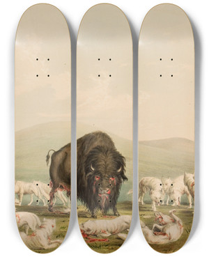 Triptych art skateboard deck of George Catlin Buffalo Hunt White Wolves Attacking A Buffalo Bull by George Catlin (1796-1872)