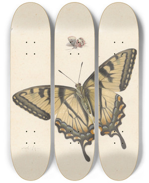 Triptych art skateboard deck of Herman Henstenburgh Drie Vlinders by Herman Henstenburgh (1667-1726)