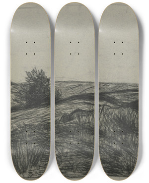 Triptych art skateboard deck of Wilhelm Kalb Raised Bog by Wilhelm Kalb