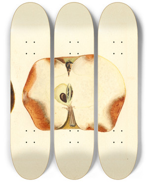 Triptych art skateboard deck of James Marion Shull Malus Domestica_8 by James Marion Shull (1872-1948)