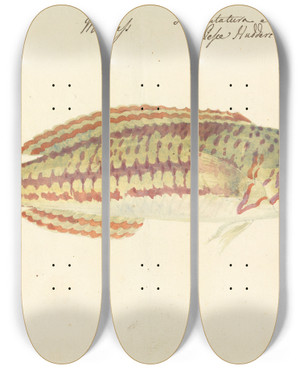 Triptych art skateboard deck of Luigi Balugani Mullup by Luigi Balugani (1737-1770)