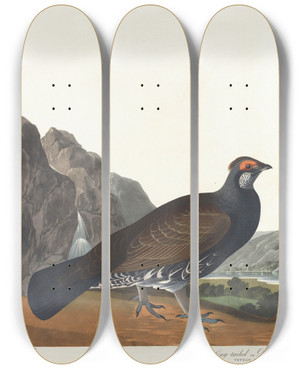 Triptych art skateboard deck of John James Audubon Longtailed Or Dusky Grous by John James Audubon (1785-1851)