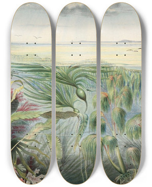 Triptych art skateboard deck of Alfred Frdol Flore De La Mer by Alfred Fredol (1804-1863)