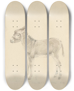 Triptych art skateboard deck of Josephus Augustus Knip Twee Ezels by Josephus Augustus Knip (1777-1847)
