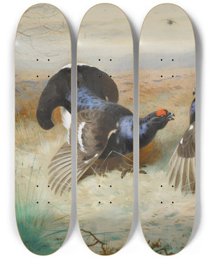 Triptych art skateboard deck of Archibald Thorburn Blackcocks At The Lek by Archibald Thorburn (1860-1935)