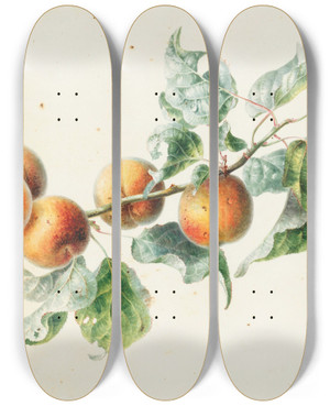 Triptych art skateboard deck of Willem Hekking Apricots On A Branch Signed by Willem I Hekking (1796-1862)