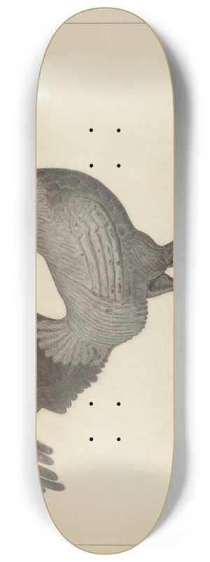 Helen Blumenstiel - Weather Vane 8.25 inch art skate deck