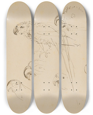 Triptych art skateboard deck of Henri De Toulouselautrec Tude De Perroquets by Henri de Toulouse-Lautrec (1864-1901)