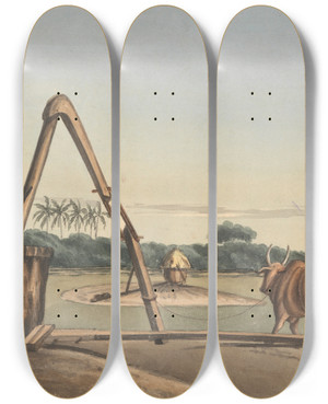 Triptych art skateboard deck of John Gantz The Checkoo Or Oil Mill by John Gantz