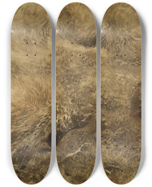 Triptych art skateboard deck of Bruno Liljefors Autumn Landscape With Partridges by Bruno Liljefors (1860-1939)