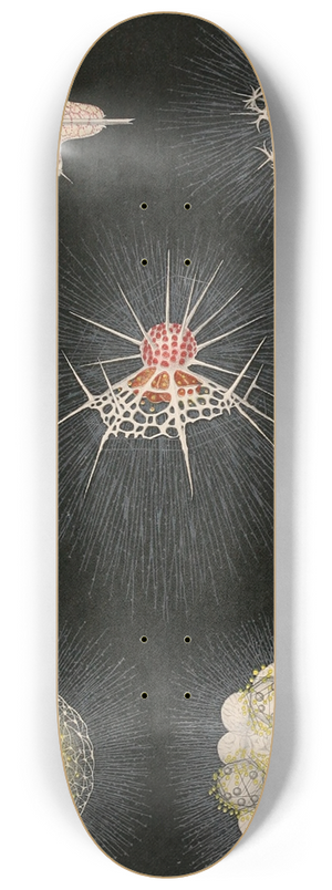 Alfred Frdol - Animaux Radis 8.25 inch art skate deck Alfred Frdol - Animaux Radis 8.25 inch art skate deck