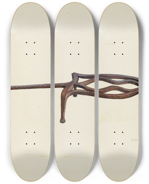 Triptych art skateboard deck of Donald Harding Flat Iron Holder_2 by Donald Harding