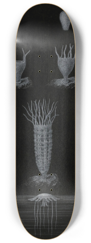 Alfred Frdol - Dveloppement de la Mduse 8.25 inch art skate deck Alfred Frdol - Dveloppement de la Mduse 8.25 inch art skate deck