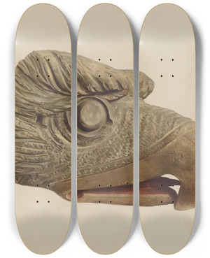 Triptych art skateboard deck of American 20Th Century Eagles Head by American 20Th Century