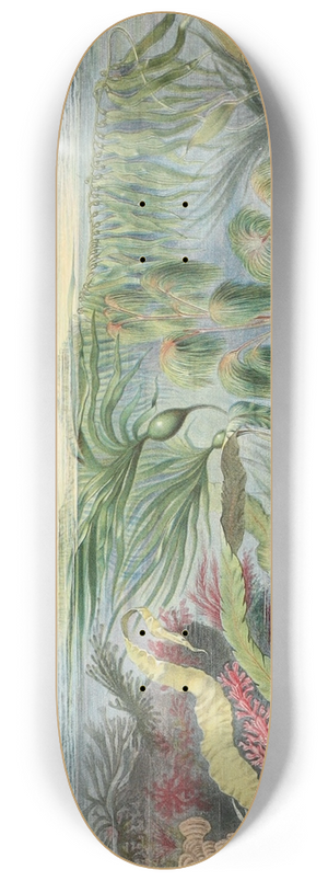 Alfred Frdol - Flore de la mer 8.25 inch art skate deck