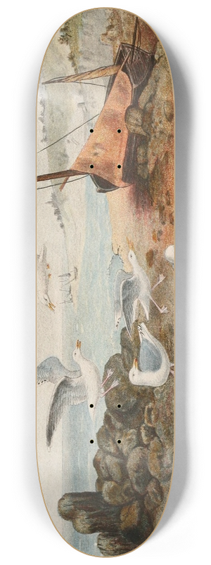 Alfred Frdol - Golands argent 8.25 inch art skate deck Alfred Frdol - Golands argent 8.25 inch art skate deck