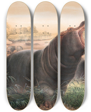 Triptych art skateboard deck of Joseph Wolf The Hippopotamus_1 by Joseph Wolf (1820-1899)