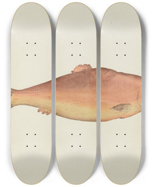 Triptych art skateboard deck of Frances Cohen Shop Sign by Frances Cohen