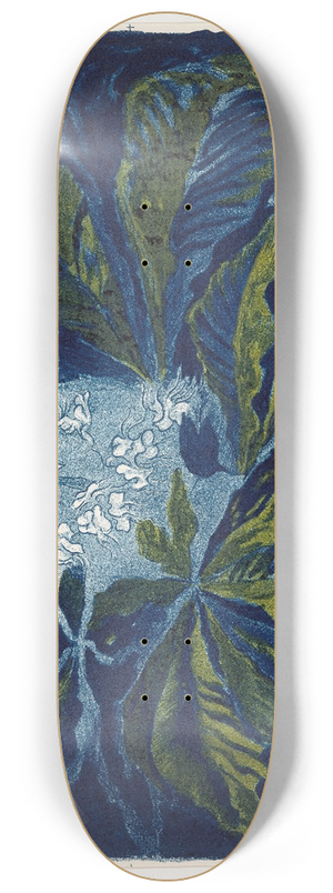 Henri Braakensiek - Kastanje 8.25 inch art skate deck