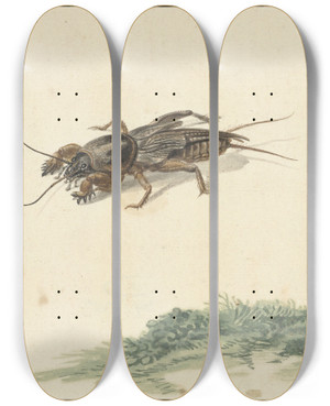 Triptych art skateboard deck of Gerard Sanders Insect by Gerard Sanders (1702-1767)
