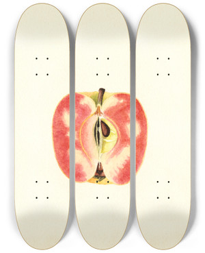 Triptych art skateboard deck of James Marion Shull Malus Domestica Surprise by James Marion Shull (1872-1948)