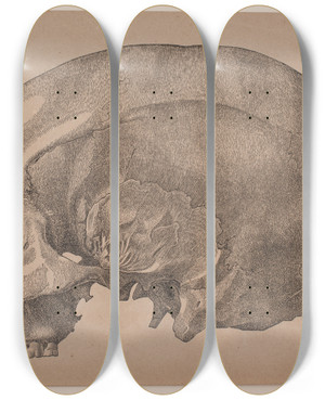 Triptych art skateboard deck of Andreas Flinch Kranium by Andreas Flinch (1813-1872)