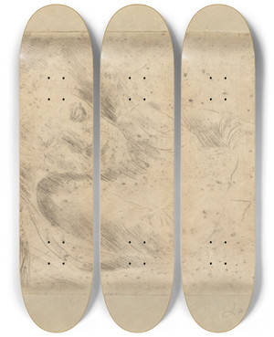 Triptych art skateboard deck of James Ensor De Slaapster by James Ensor (1860-1949)
