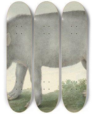 Triptych art skateboard deck of Isaac Van Haastert Tapir by Isaac Van Haastert (1753-1834)