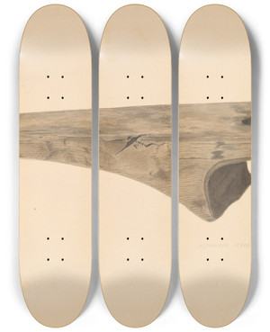 Triptych art skateboard deck of Alexander Anderson Bootjack by Alexander Anderson