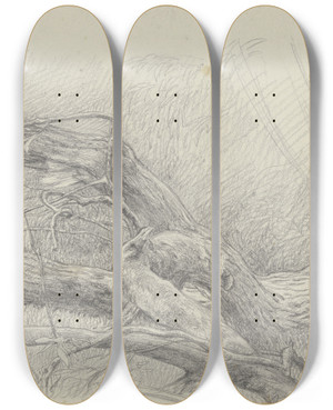 Triptych art skateboard deck of Louis Eysen Fallen Over Tree Trunk by Louis Eysen (1843-1899)