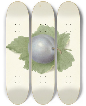 Triptych art skateboard deck of Elisabeth Geertruida Van De Kasteele Pruim Op Een Blad by Elisabeth Geertruida Van De Kasteele (1818-1853)