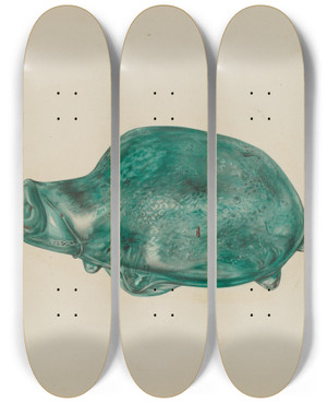 Triptych art skateboard deck of Van Silvay Turtle by Van Silvay
