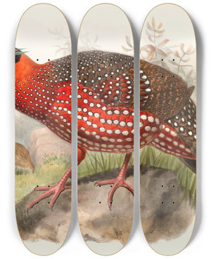 Triptych art skateboard deck of Joseph Smit Ceriornis Satyra by Joseph Smit (1836-1929)