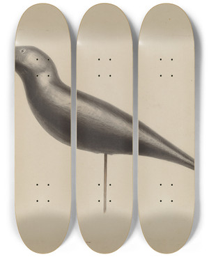 Triptych art skateboard deck of Roberta Spicer Decoy by Roberta Spicer