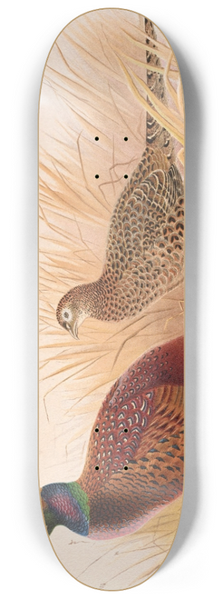 Henry Jones - Rion Caucasian Pheasant 8.25 inch art skate deck