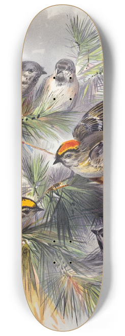Henry Walker Herrick - Birds 8.25 inch art skate deck