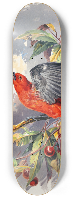 Henry Walker Herrick - Birds II 8.25 inch art skate deck