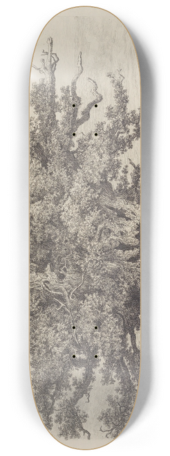 Jacob George Strutt - The Moccas-Park Oak 8.25 inch art skate deck