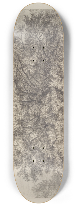 Jacob George Strutt - The Moor Park Lime Tree 8.25 inch art skate deck
