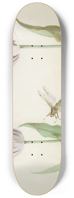 Jacob Marrel - Twee tulpen met waterjuffer en sprinkhaan 8.25 inch art skate deck