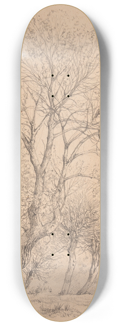 Jacques-Raymond Brascassat - tude dormes 8.25 inch art skate deck