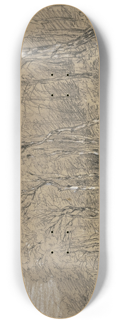 Jakob Maurer - Birch trees at the edge of the forest. 8.25 inch art skate deck
