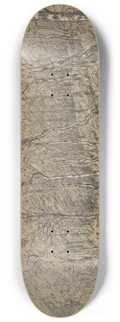 Jakob Maurer - Birch trees at the edge of the forest 8.25 inch art skate deck