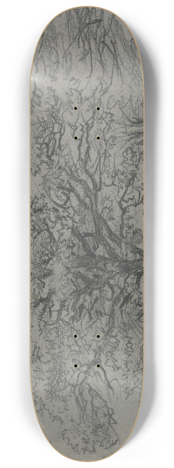 Jakob Maurer - Group of trees 8.25 inch art skate deck