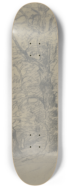 Jakob Maurer - Trees at the edge of the forest 8.25 inch art skate deck