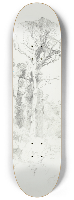 James Crowe Richmond - Detribalised natives, Taranaki 8.25 inch art skate deck