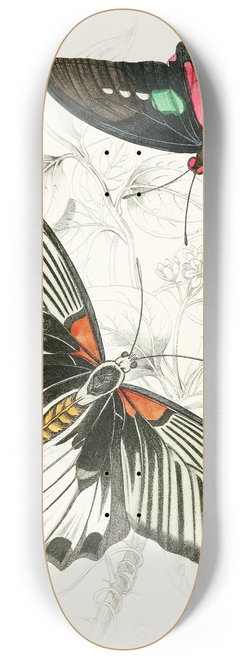James Duncan - Papilio Memnon,Pap Aeneas 8.25 inch art skate deck